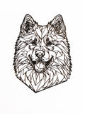 Samojed - dekorace na zeď