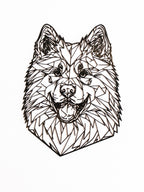 Samojed - dekorace na zeď