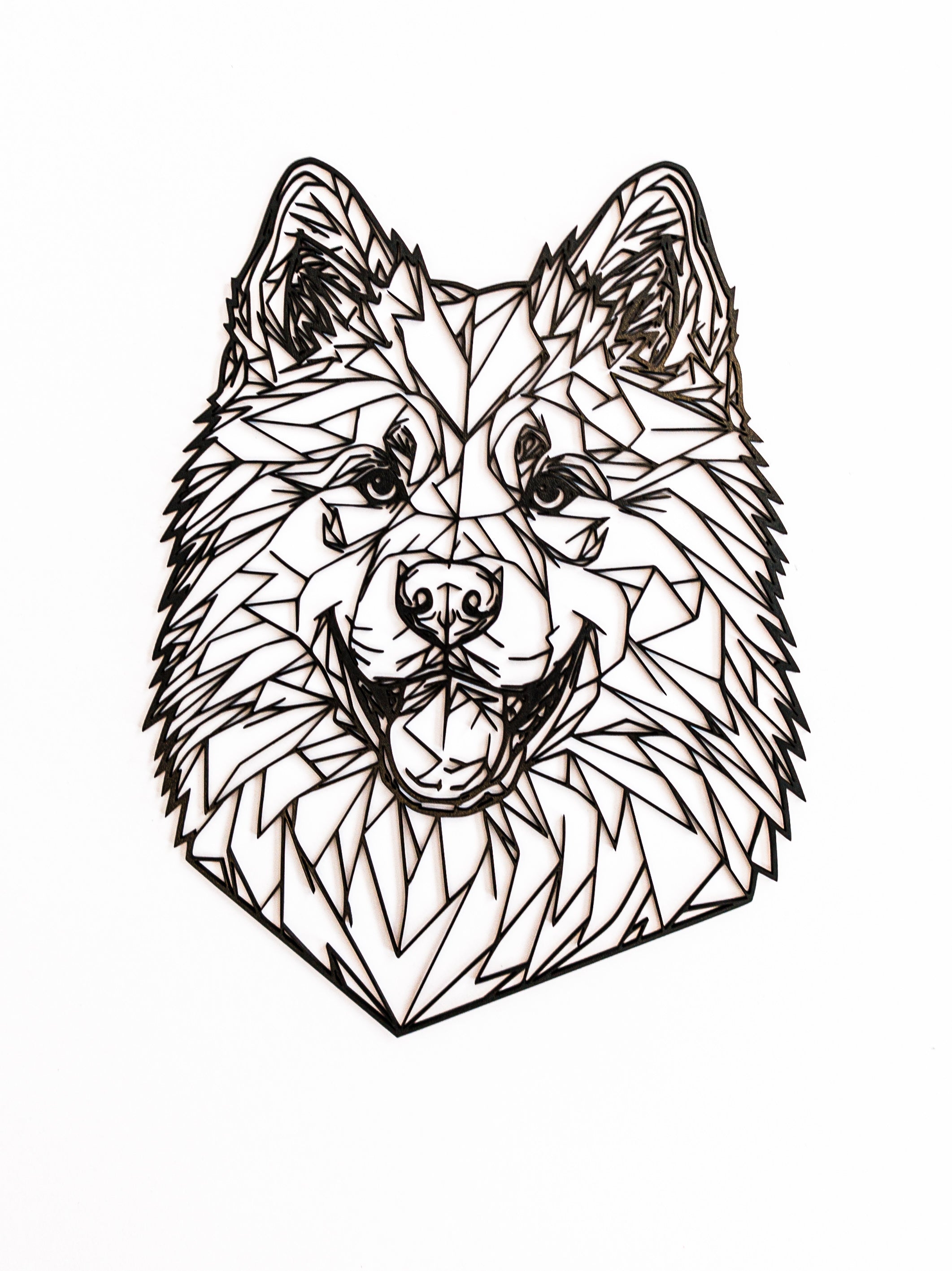 Samojed - dekorace na zeď